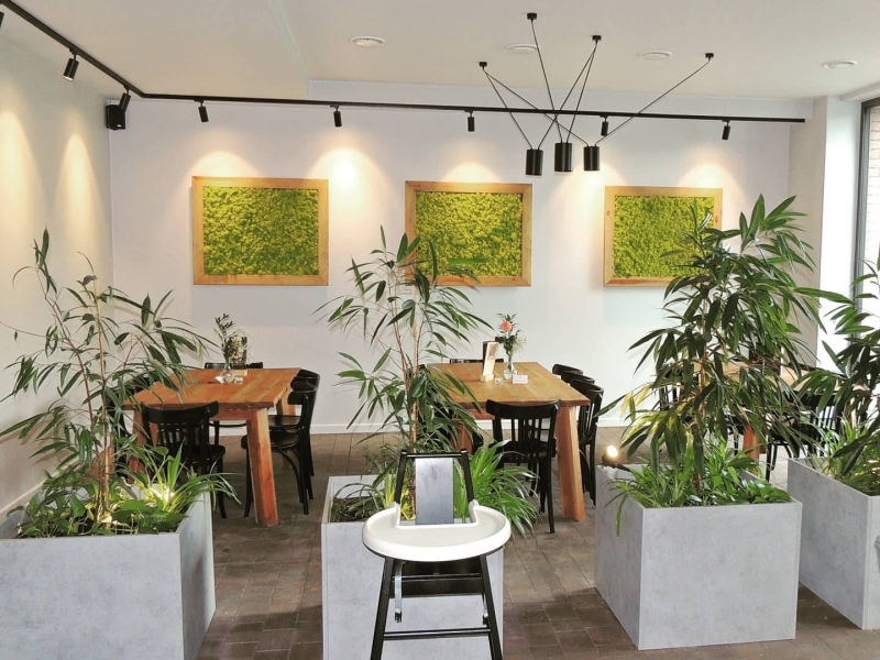 Browar Gryfice - 5.jpg